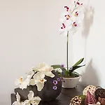 Bed & Breakfast Dei Guelfi Firenze