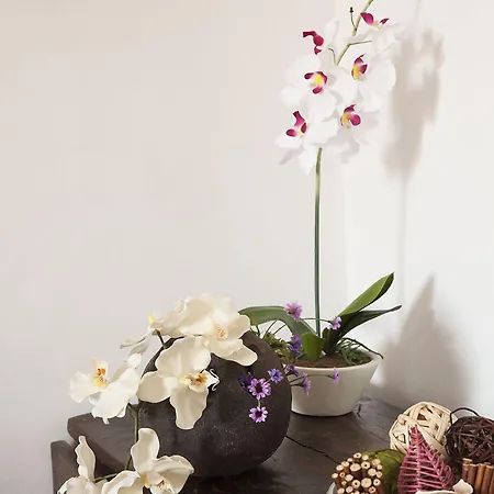 Bed & Breakfast Dei Guelfi Firenze